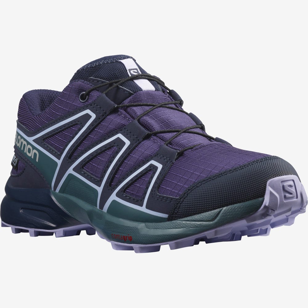 Salomon SPEEDCROSS CLIMASALOMON™ WATERPROOF Vandringskängor Barn Lila/Blå/Lavendel | SE-608137