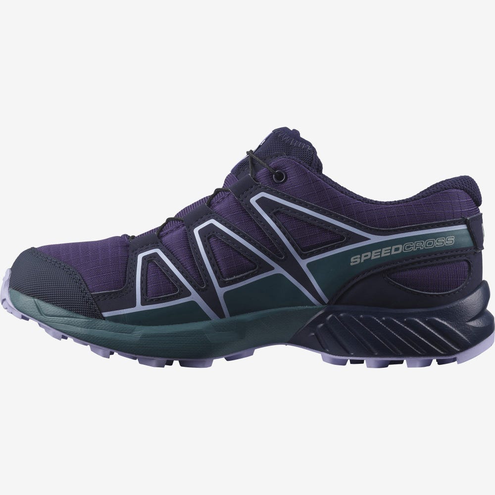 Salomon SPEEDCROSS CLIMASALOMON™ WATERPROOF Vandringskängor Barn Lila/Blå/Lavendel | SE-608137