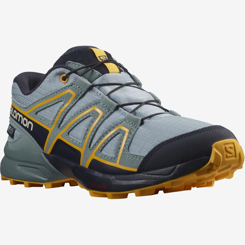 Salomon SPEEDCROSS CLIMASALOMON™ WATERPROOF Vandringskängor Barn Gröna | SE-824560