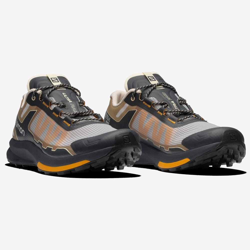 Salomon ULTRA RAID Sneakers Dam Grå/Bruna | SE-962035