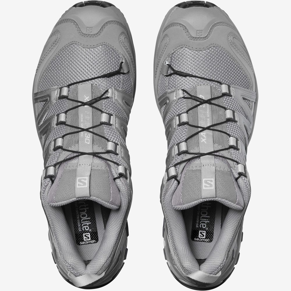 Salomon XA PRO 3D Sneakers Dam Grå/Silver | SE-507863