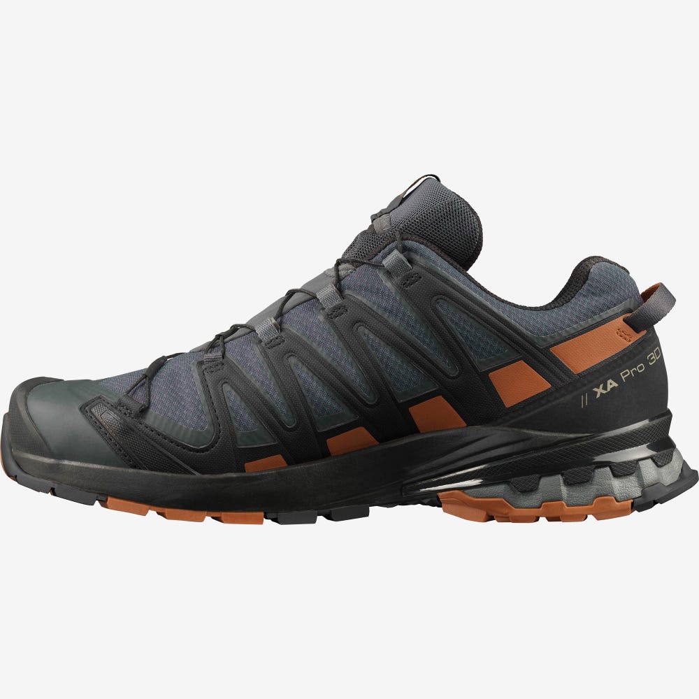 Salomon XA PRO 3D V8 GORE-TEX WIDE Vandringsskor Herr Grå/Svarta | SE-018756