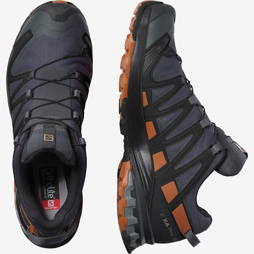 Salomon XA PRO 3D V8 GORE-TEX WIDE Vandringsskor Herr Grå/Svarta | SE-018756