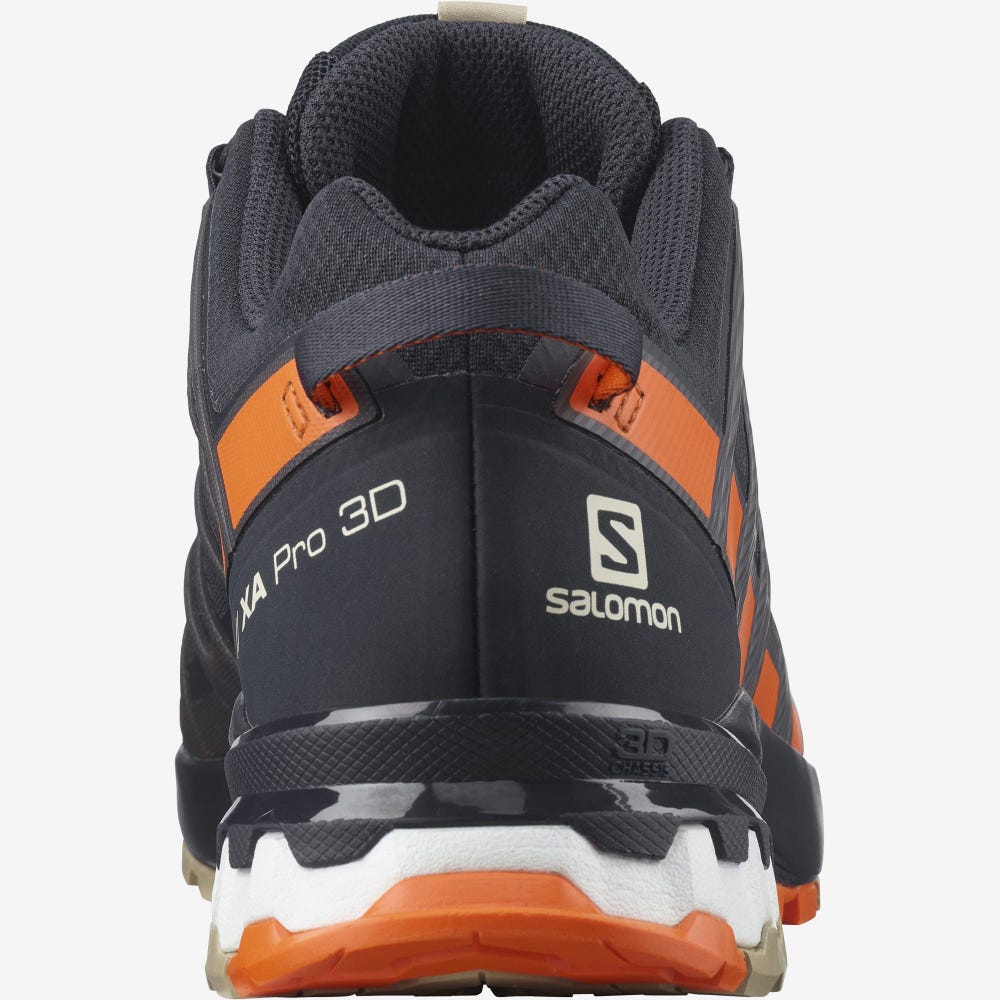 Salomon XA PRO 3D v8 GORE-TEX Vandringsskor Herr Orange | SE-017923