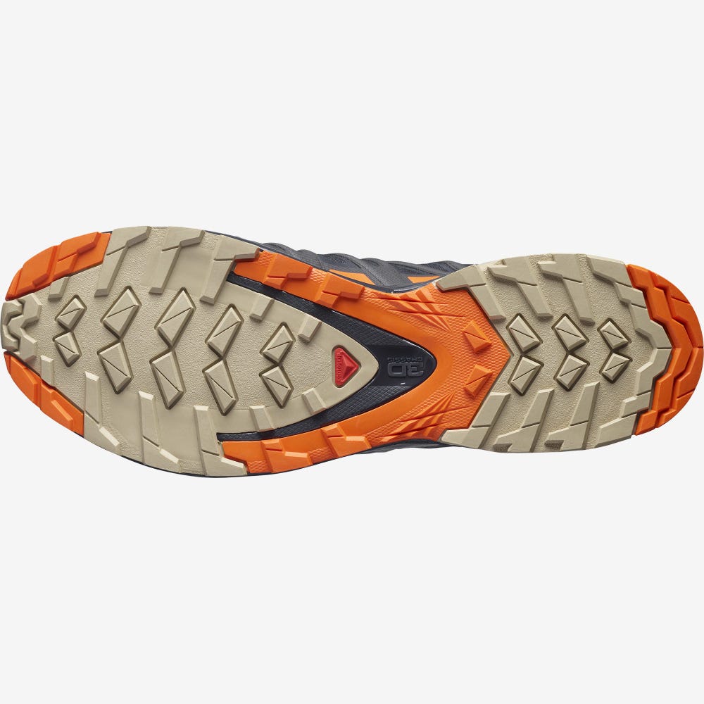 Salomon XA PRO 3D v8 GORE-TEX Vandringsskor Herr Orange | SE-017923