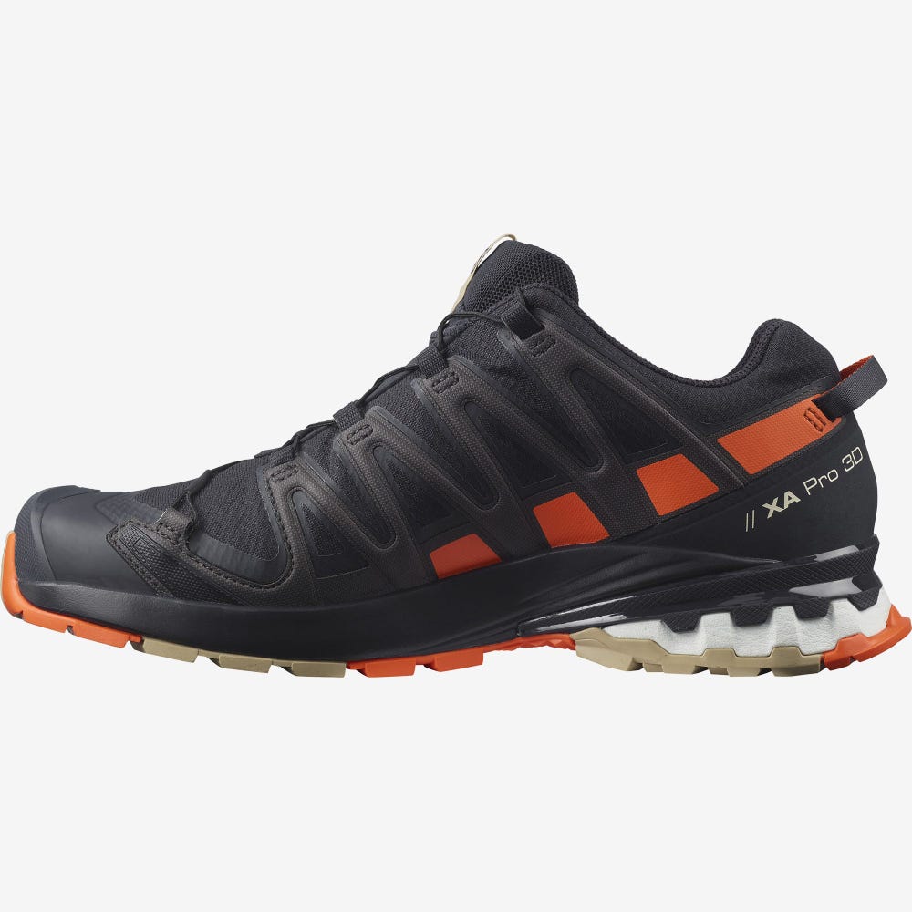 Salomon XA PRO 3D v8 GORE-TEX Vandringsskor Herr Orange | SE-017923