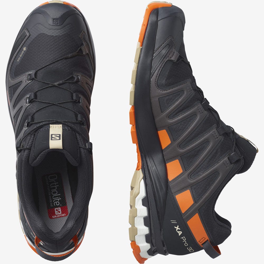 Salomon XA PRO 3D v8 GORE-TEX Vandringsskor Herr Orange | SE-017923