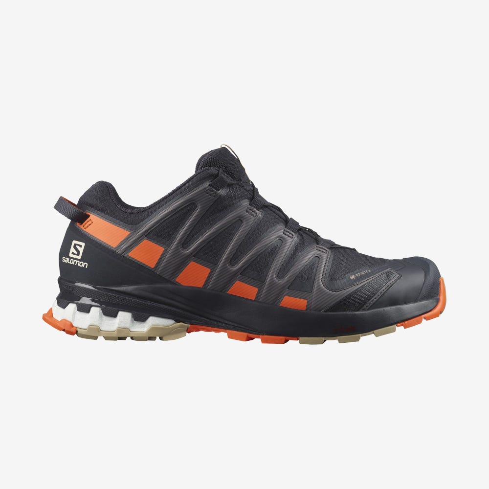 Salomon XA PRO 3D v8 GORE-TEX Vandringsskor Herr Orange | SE-017923