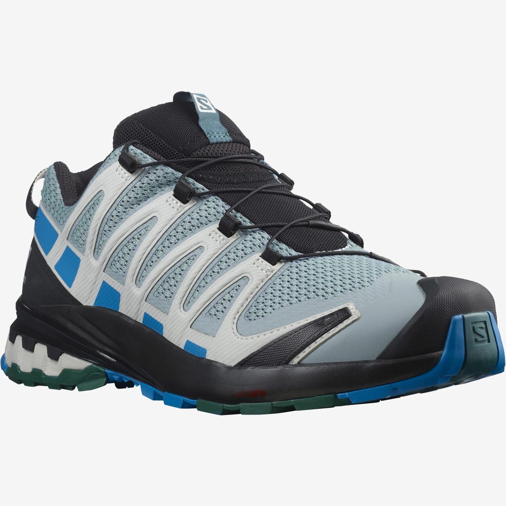 Salomon XA PRO 3D v8 Vandringsskor Herr Gröna/Blå | SE-950687