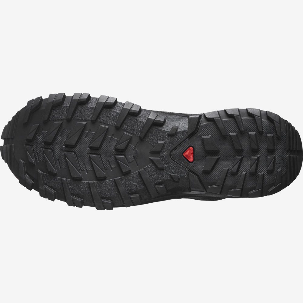 Salomon XA ROGG 2 GORE-TEX Trailskor Dam Svarta | SE-139062