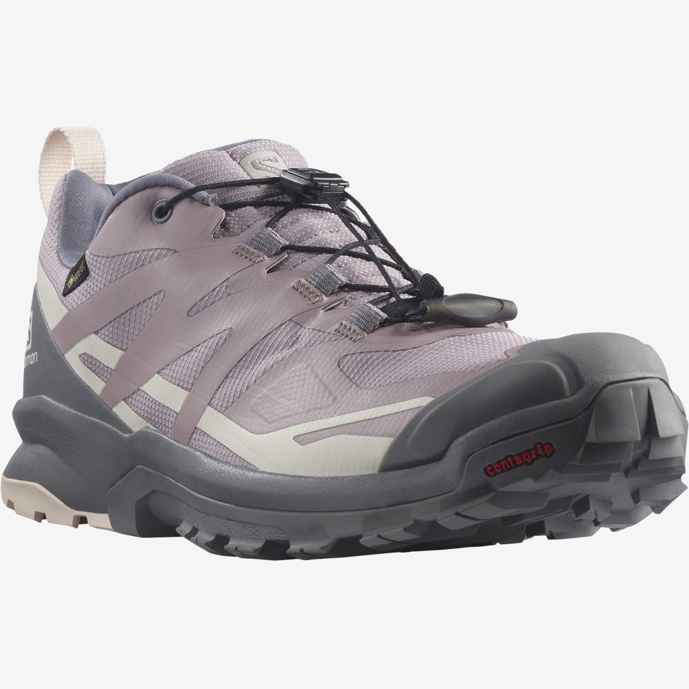 Salomon XA ROGG 2 GORE-TEX Trailskor Dam Grå | SE-618073