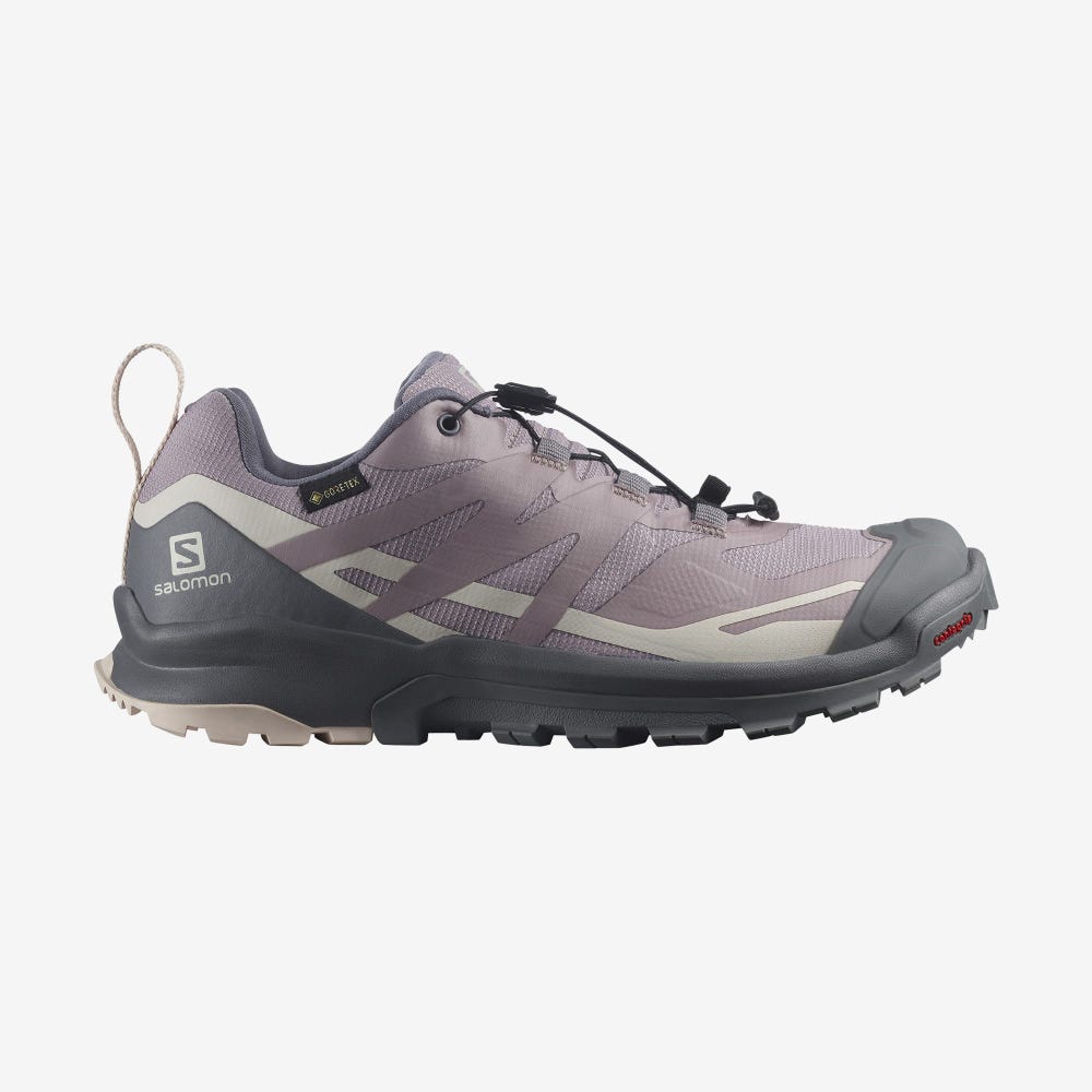 Salomon XA ROGG 2 GORE-TEX Trailskor Dam Grå | SE-618073