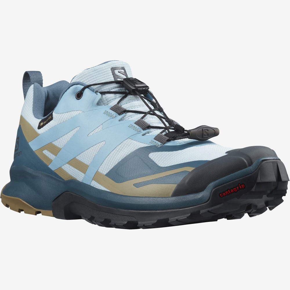 Salomon XA ROGG 2 GORE-TEX Trailskor Dam Blå | SE-906482