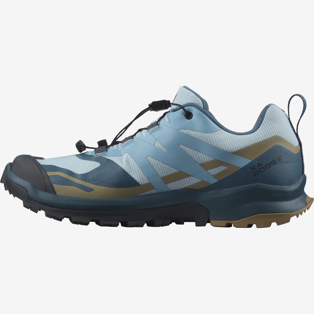 Salomon XA ROGG 2 GORE-TEX Trailskor Dam Blå | SE-906482