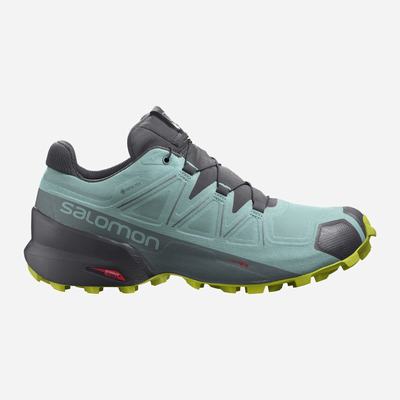 Salomon SPEEDCROSS 5 GORE-TEX Trailskor Dam Turkos | SE-058614