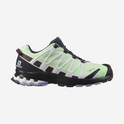 Salomon XA PRO 3D v8 GORE-TEX Trailskor Dam Gröna/Lavendel | SE-049182