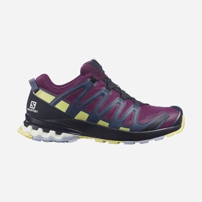 Salomon XA PRO 3D v8 GORE-TEX Trailskor Dam Lila/Blå | SE-165207