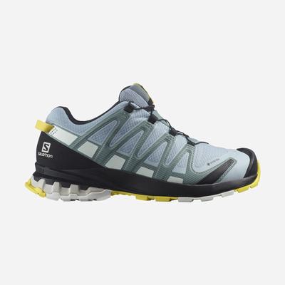 Salomon XA PRO 3D v8 GORE-TEX Trailskor Dam Blå/Vita | SE-396510