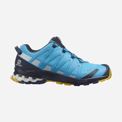 Salomon XA PRO 3D v8 GORE-TEX Vandringsskor Herr Blå | SE-803594