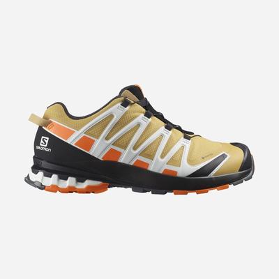 Salomon XA PRO 3D v8 GORE-TEX Vandringsskor Herr Bruna/Orange/Vita | SE-841926