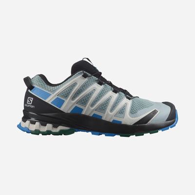 Salomon XA PRO 3D v8 Vandringsskor Herr Gröna/Blå | SE-950687