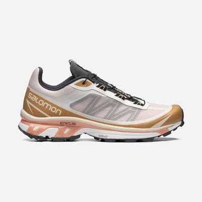 Salomon XT-6 FT Sneakers Dam Svarta | SE-943521